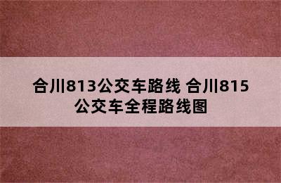 合川813公交车路线 合川815公交车全程路线图